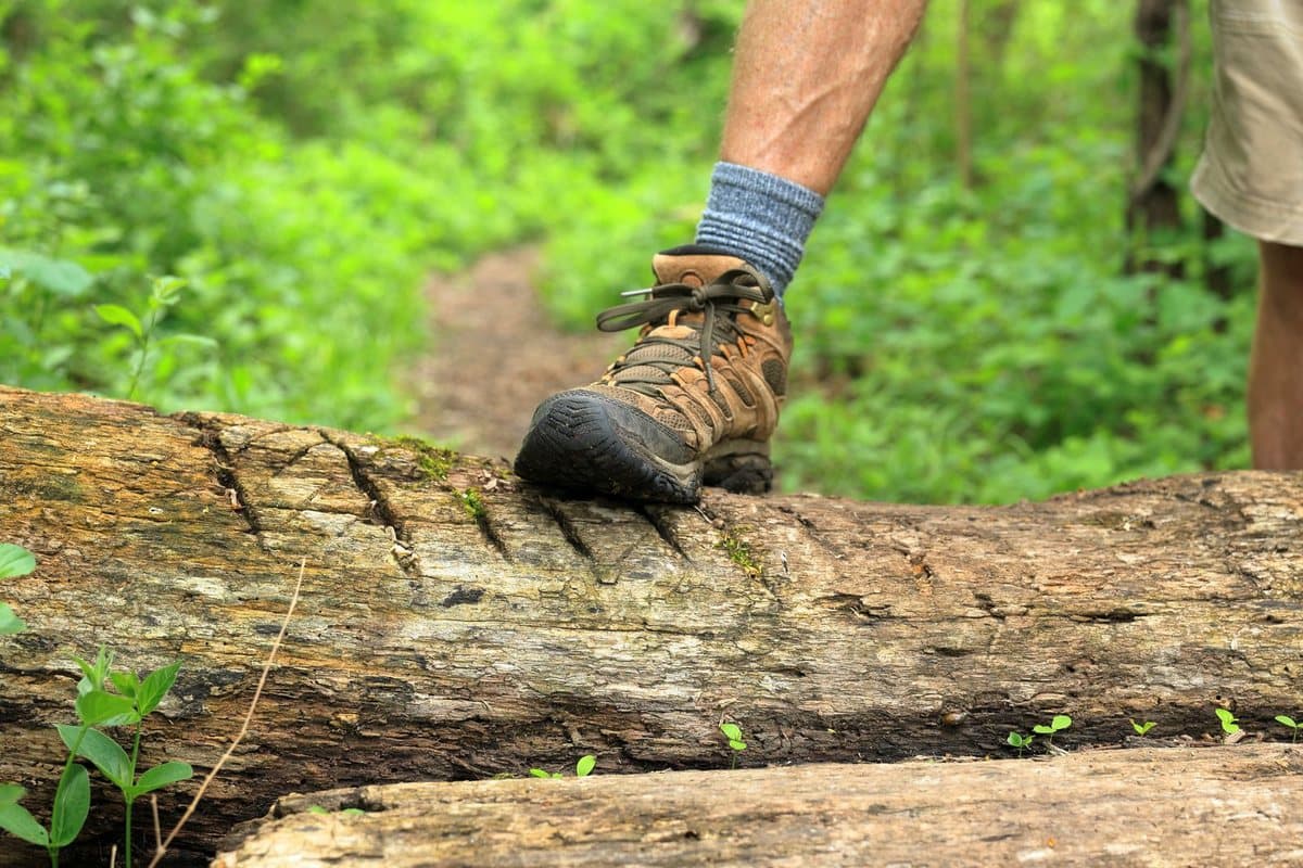 Chaussure de randonnée enjambant un tronc en forêt